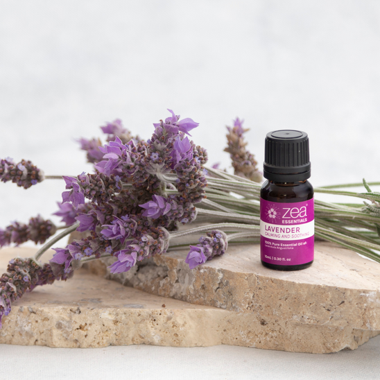 Lavender Essential Oil