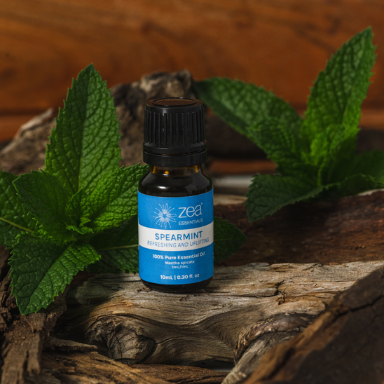 Spearmint Essential Oil
