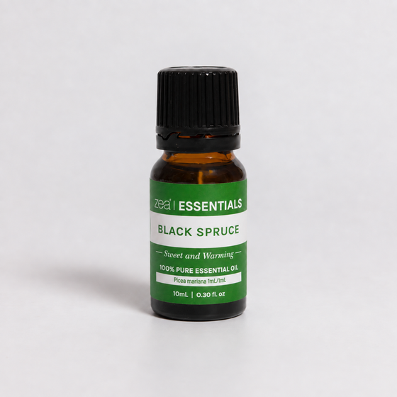 Black Spruce Essential Oil 10mL bottle, front view